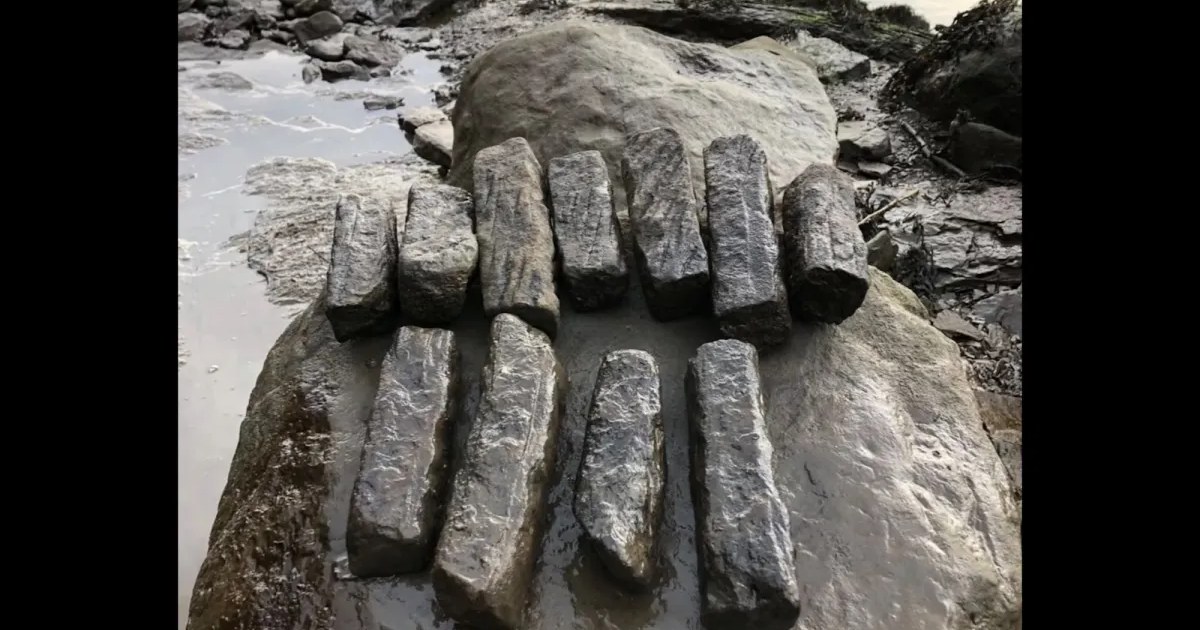 Yeni Arkeolojik Keşifler, Roma İmparatorluğu'nun Kuzeydoğu İngiltere'deki Rolünü Gösteriyor