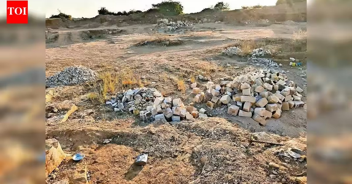 Papamiya Tekdi'den Sonra, 2 Milyon Yıllık Bhatala Yeri Tehlike Altında