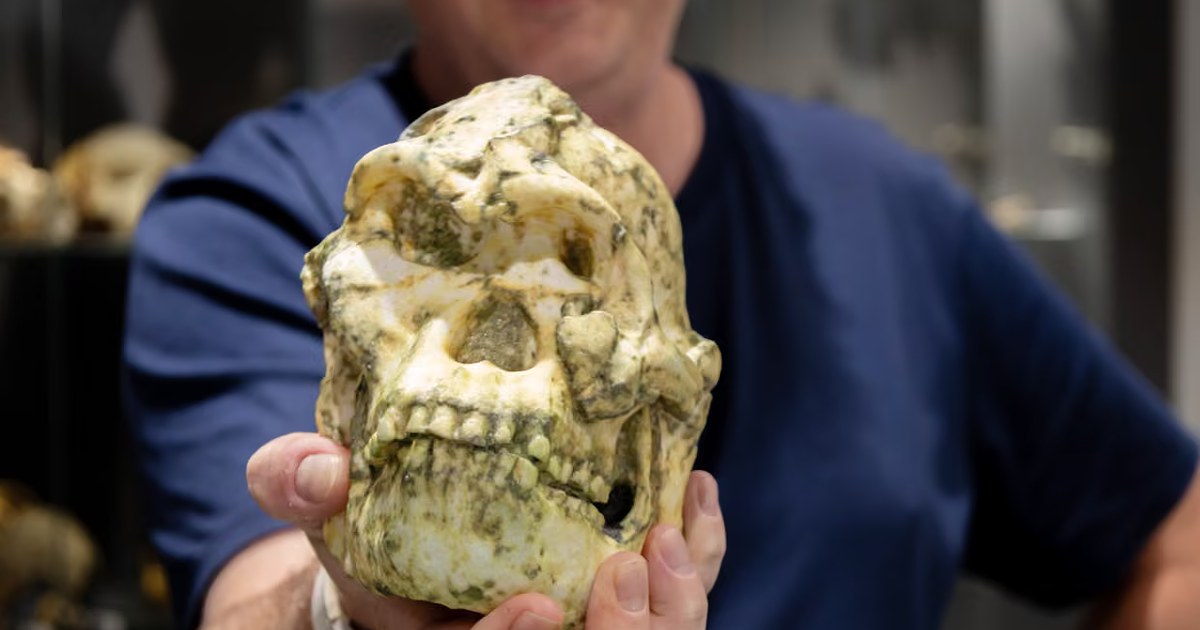 "Little Foot" Hominin Fosili, İnsan Atasının Bilinmeyen Bir Türü Olabilir