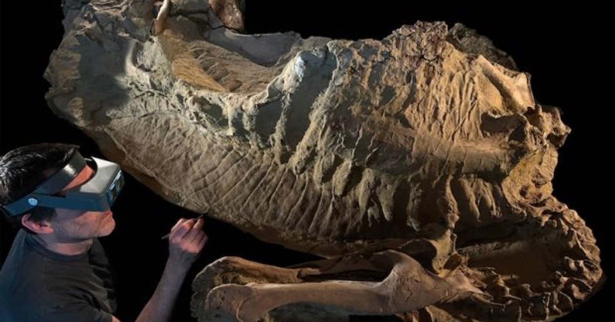 Dinozor 'Mumyaları', Gerçek Görünümlerini Ortaya Çıkarıyor