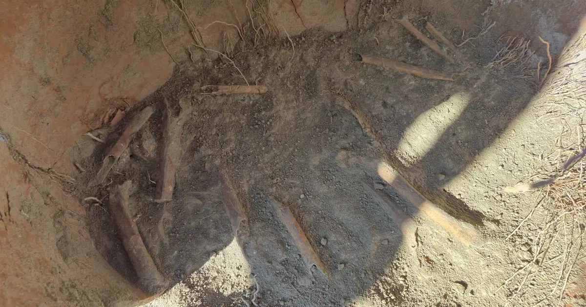 Kazı çalışmasında M.Ö. 1500'e ait insan kemikleri bulundu