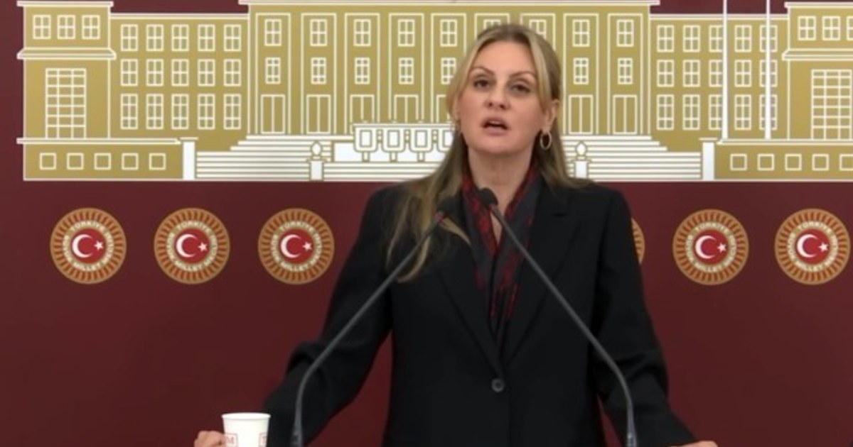 Efes Sit Alanında AVM ve Otopark Projesi: Kültürel Mirasa Yönelik Ciddi Bir Tehdit