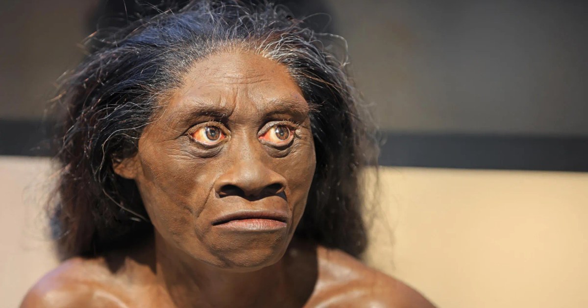 Did Drought Drive the Flores Hobbits to Extinction?
