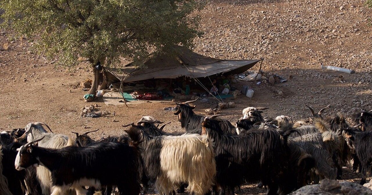Zagros’ta 9.000 Yıl Öncesine Ait Süt Ürünü Kanıtı