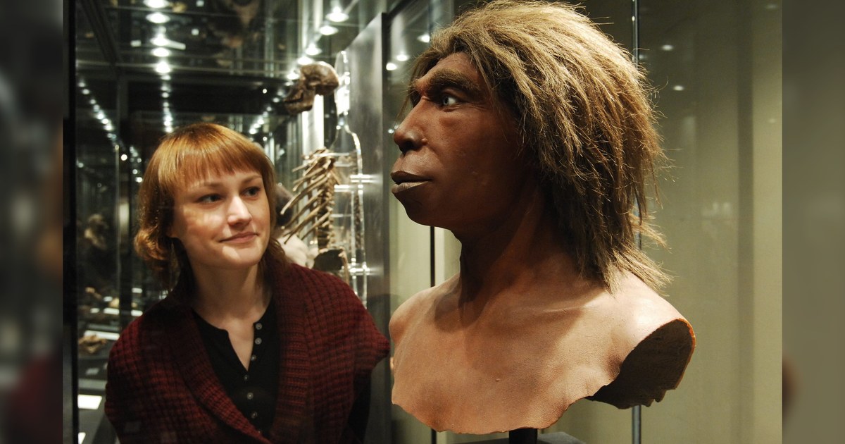 Männliche Neandertaler und weibliche Homo sapiens: Genetische Präferenz und „Neandertaler-Wüsten“