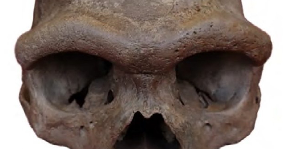 Die komplexe Landkarte der menschlichen Evolution in China