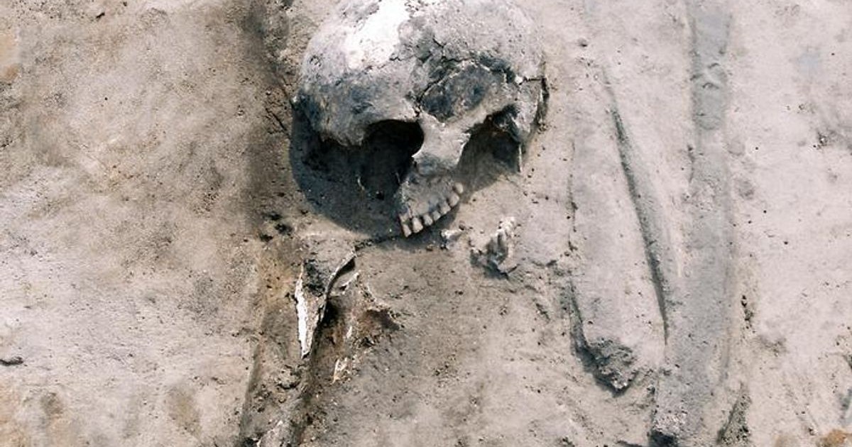 Polonya'da 3.000 Yıl Öncesine Ait Diyet ve Göç İzleri Keşfedildi