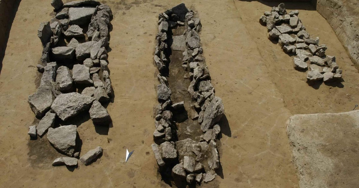 Genetische Spuren von Leben und Tod im bronzezeitlichen Europa