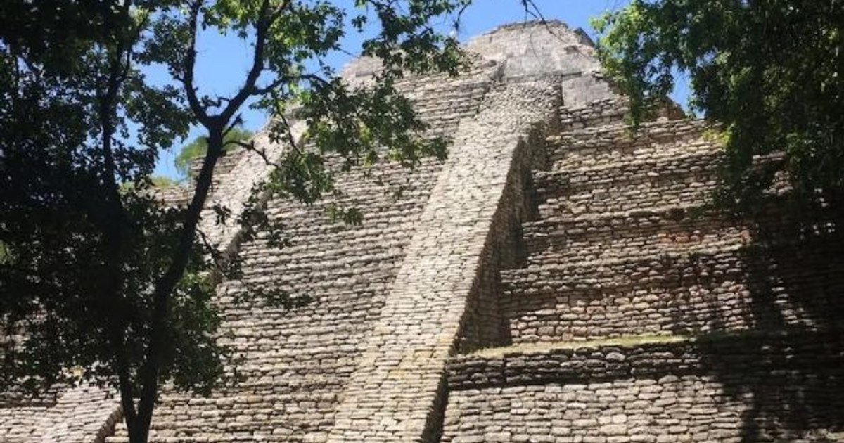 Hundehandel der Maya während der Klassischen Periode enthüllt