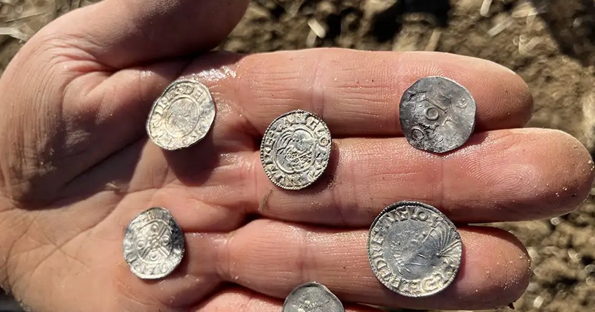 Norveç'in en büyük Viking çağı sikkeleri Østerdalen'de bulundu