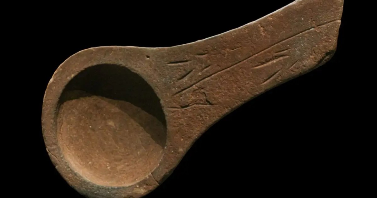 Was Humanity's First Tool a Container, Not a Weapon?