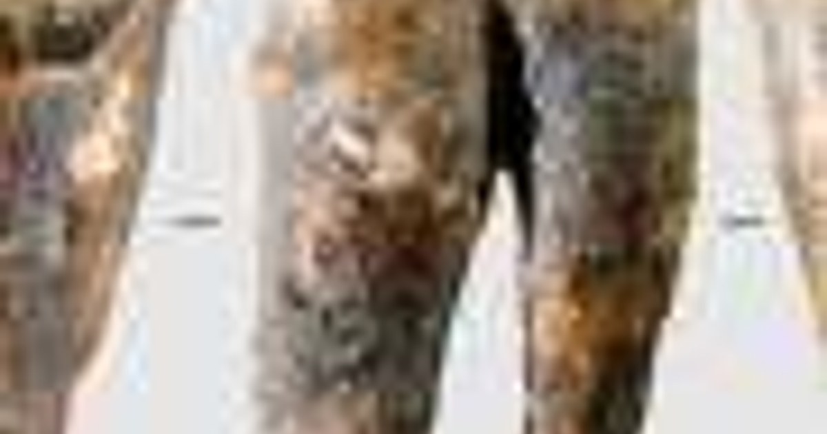 Neandertaller 60 bin yıl önce diş çürüğüne taşla müdahale etmiş
