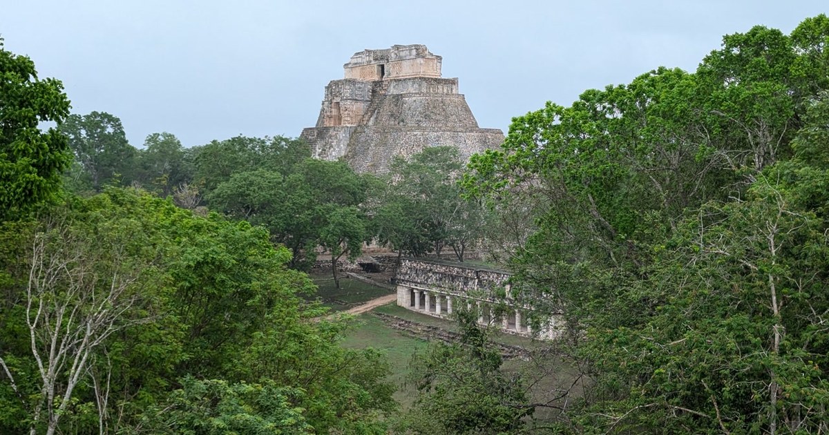 In Mexiko wurde bei Bau des Maya-Trains antike Stadt El Jefeciño entdeckt