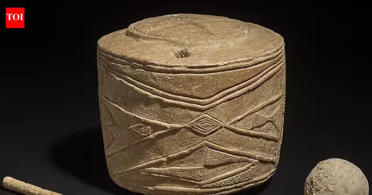 Découverte d’un tambour en craie gravé datant de 5 000 ans dans une tombe d’enfants à East Yorkshire