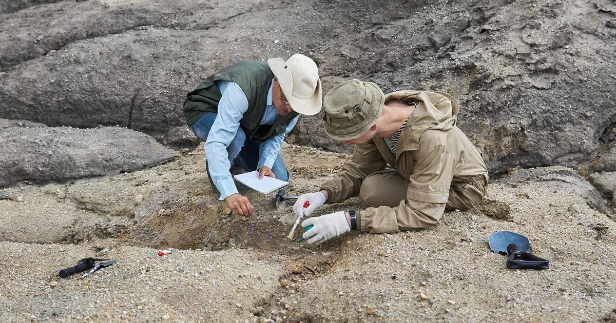 In Irlands Südosten wurde möglicherweise eine große vikingische Siedlung entdeckt