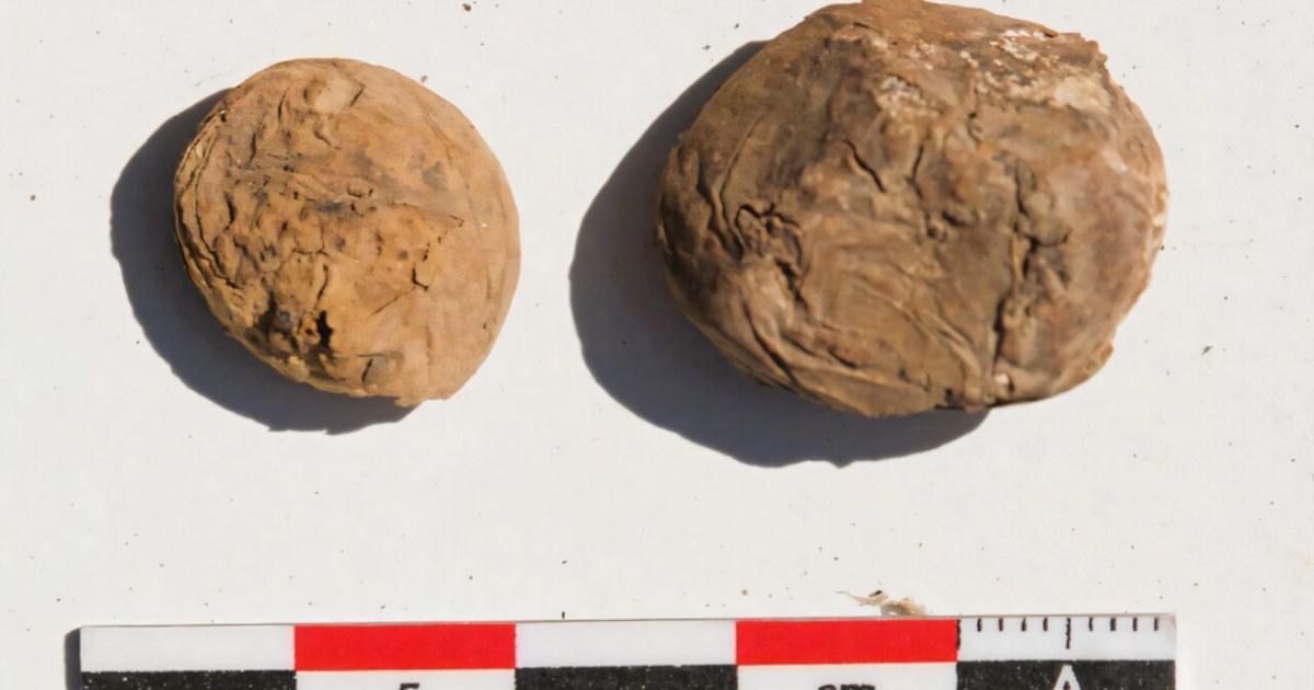Peru kıyısındaki İnka merkezinde 500 yıllık dondurarak kurutulmuş patatesler bulundu
