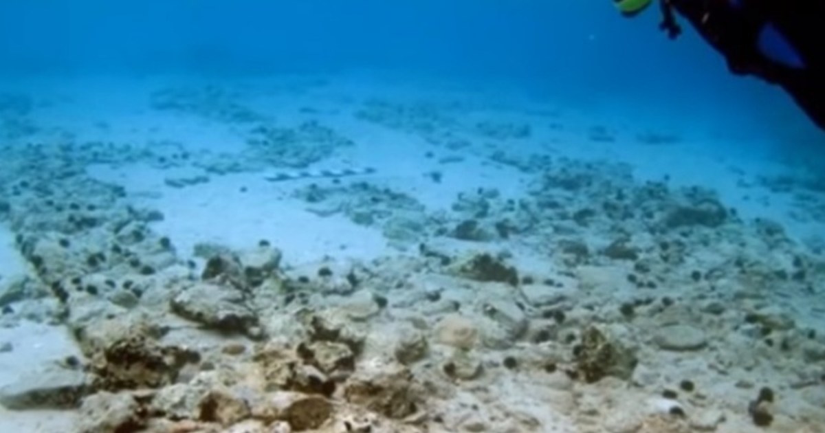 Une découverte singulière dans les abysses de l’Atlantique : la « Cité perdue »