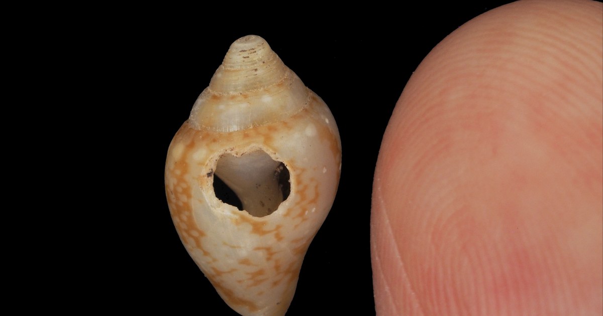 Türkiye kıyısındaki mağarada Neandertaller ve modern insanlar benzer izler bıraktı
