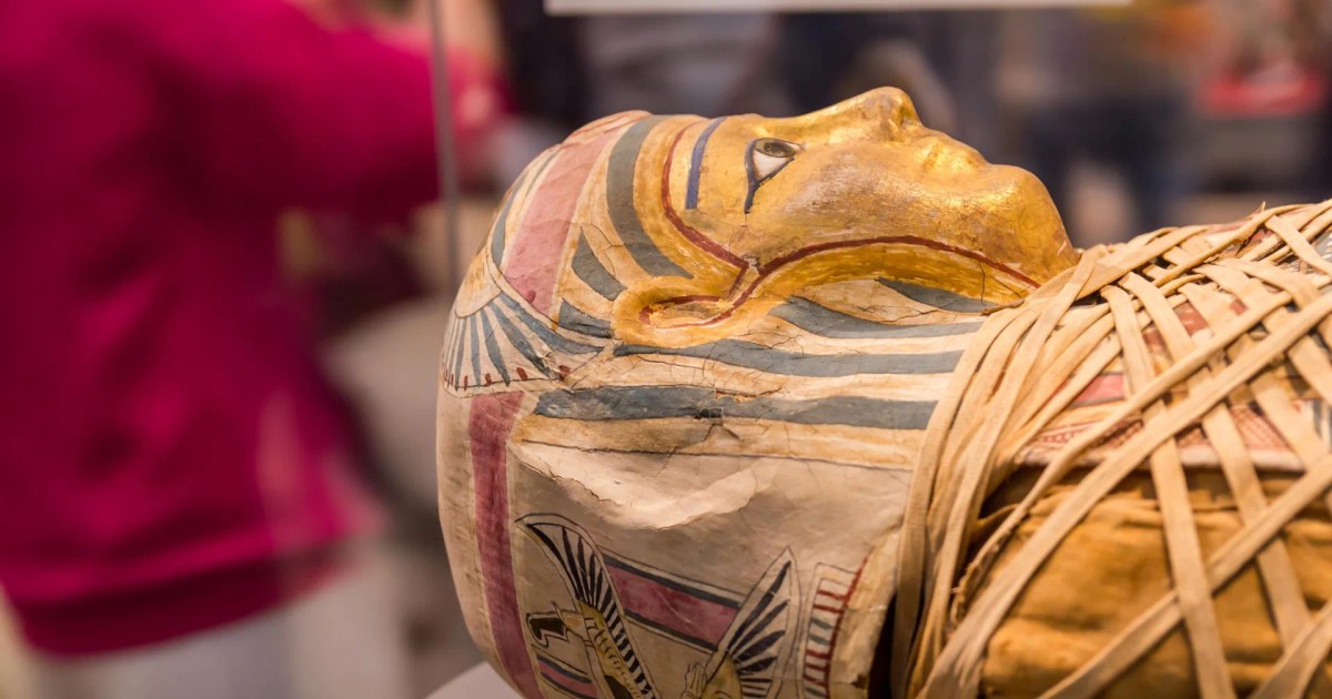 Hallan un pasaje de la Ilíada sobre una momia de 1.600 años en Egipto