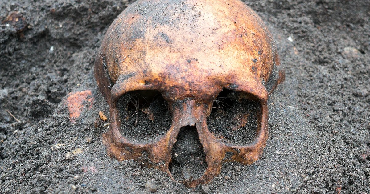 Le « meurtre » des Médicis élucidé : un ADN vieux de 400 ans révèle la vérité