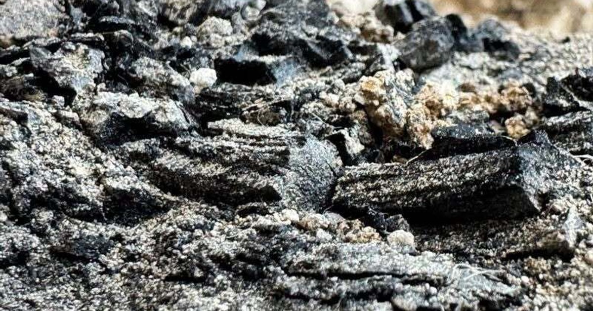 Spuren der babylonischen Zerstörung Jerusalems: 2.600 Jahre alte verkohlte Holzbalken entdeckt