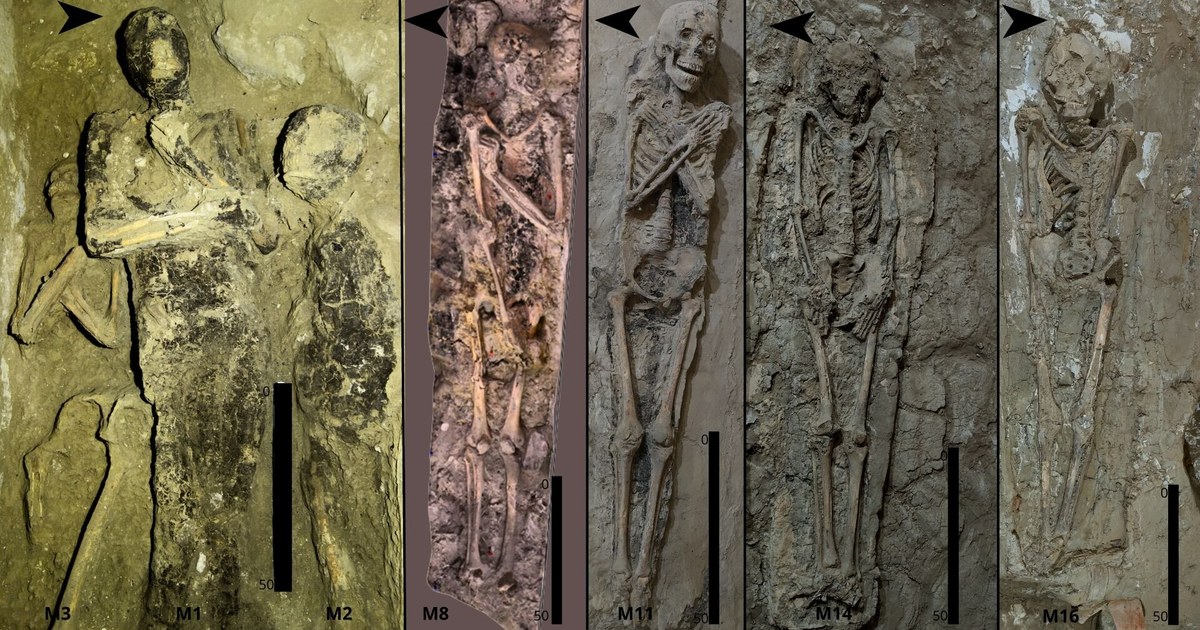 Evolución de los Rituales Funerarios en una Tumba del Antiguo Egipto: El Caso de la TT 209