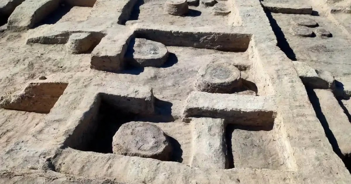3,200-Year-Old War Horse Tomb Discovered at Ramesses II Border Fort