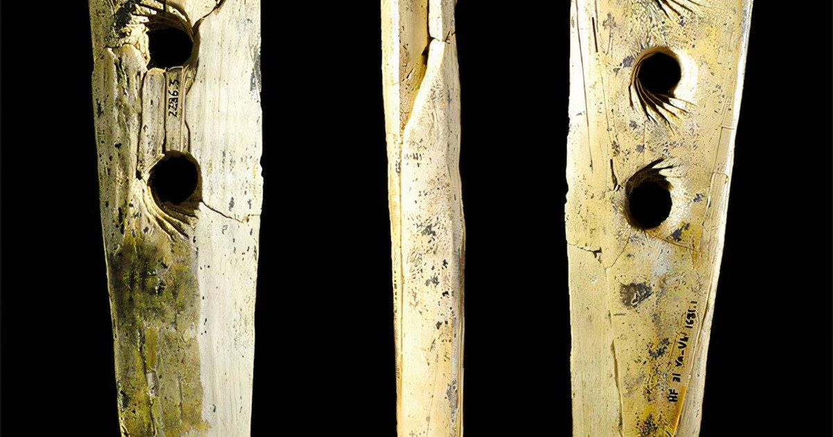 Die unsichtbare Technologie der Steinzeit: 35.000 Jahre altes Werkzeug zur Seilherstellung identifiziert