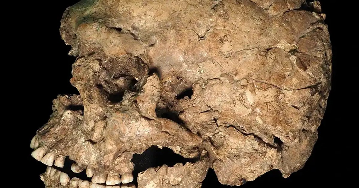 Überlebenskampf vor 100.000 Jahren: Ein Steinmesser-Angriff im Gesicht