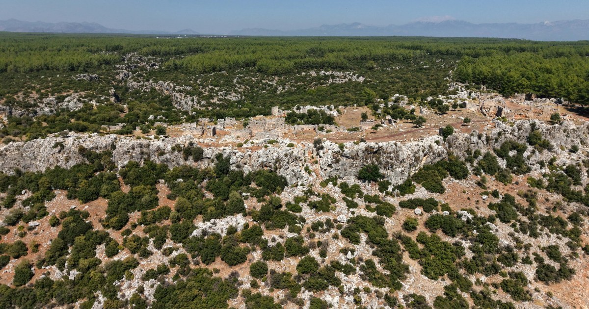 Wirtschaftsmacht der Frauen: Die 2.000 Jahre alte Olivenfarm der Antike
