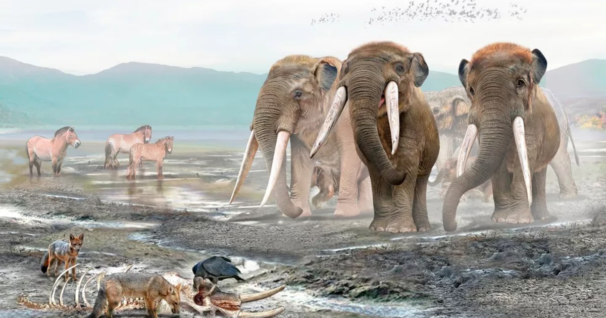 13,000-Year-Old Elephant Relative Fossils in Chile: Traces of the First Americans