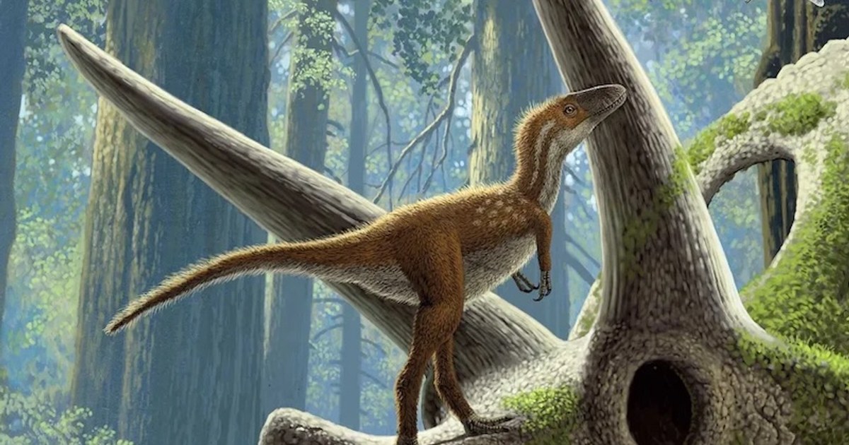 Las crías de T. rex comenzaban a cazar inmediatamente después de eclosionar
