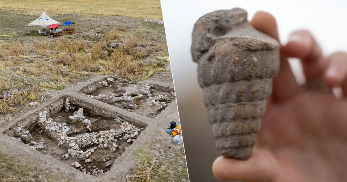 Ausgrabungen in Külhöyük: 4.000 Jahre alte Samen der Yanıkscharte entdeckt
