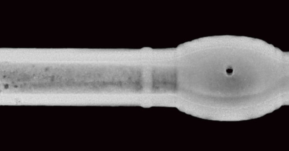 600-Year-Old Hand Cannon Discovered During Landmine Clearance in South Korea