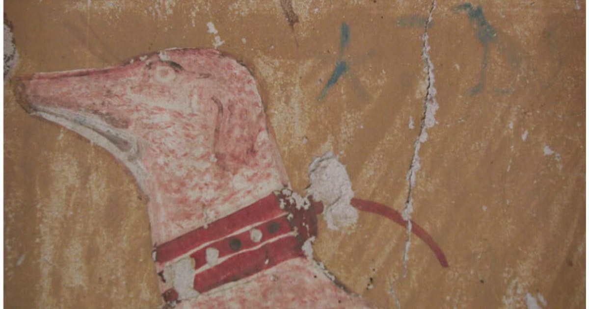 Descubren en Egipto el nombre de un perro de 3.500 años vinculado al dios del inframundo