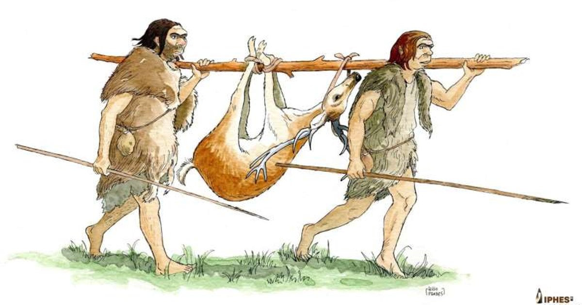 İspanya'da Bulunan Nadir Ahşap Aletler Neandertallerin Marangozluk Becerisine İşaret Ediyor