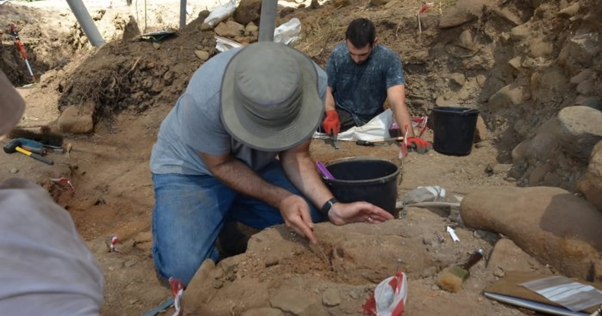 Levante: 700.000 Jahre alter Elefantenbackenzahn wirft Licht auf frühe menschliche Migrationen